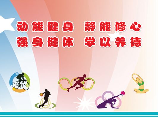 196体育：探索体育的多元价值与未来发展